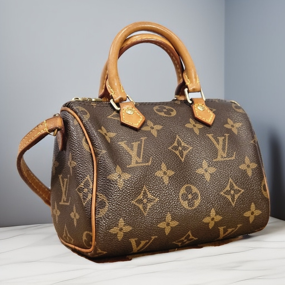 Louis Vuitton Brown Speedy Nano Iconic Monogram